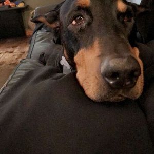 Meet your Posher, Shannon